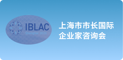 上海市市長國際企業家咨詢會